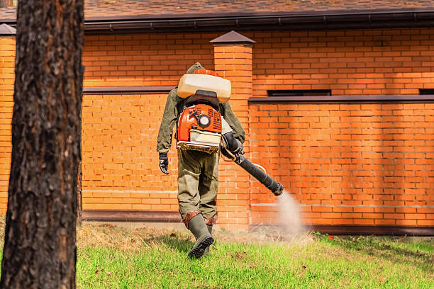Trusted Termite Control service in Lawton, IA - Nex Pest Control